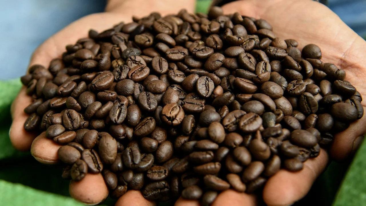 Coffee - Australia